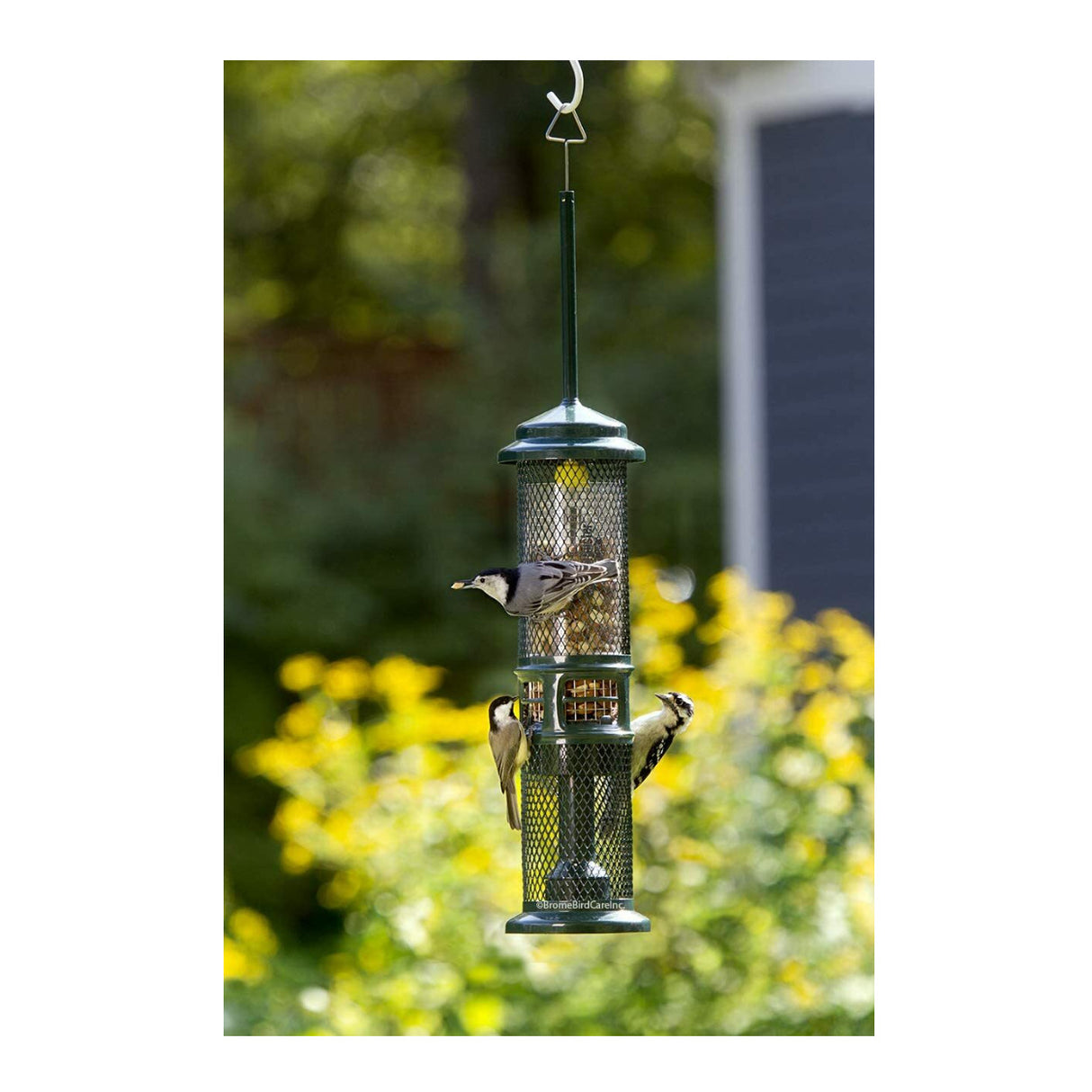 Squirrel Buster Nut Feeder Squirrel-Proof Bird Feeder for Nuts and Fruit, Two Meshes