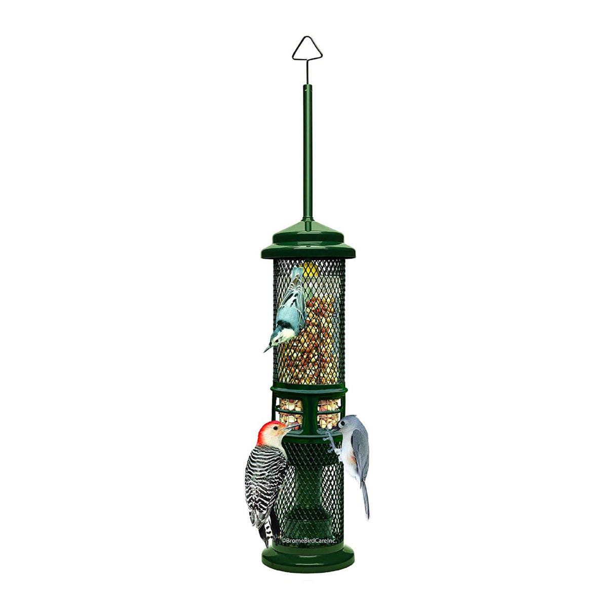 Squirrel Buster Nut Feeder Squirrel-Proof Bird Feeder for Nuts and Fruit, Two Meshes