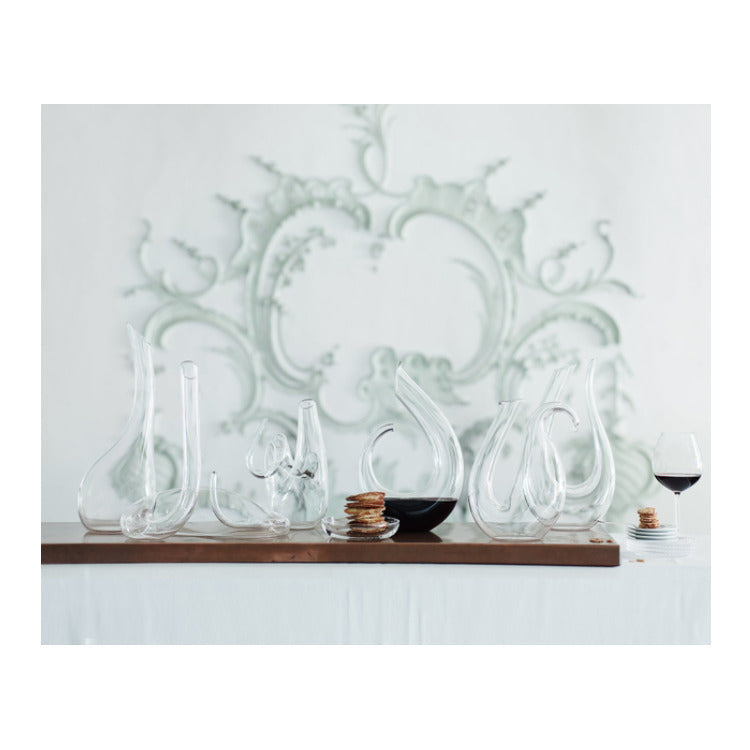 Riedel Amadeo Decanter (Clear) with Wine Pourer and Polishing Cloth
