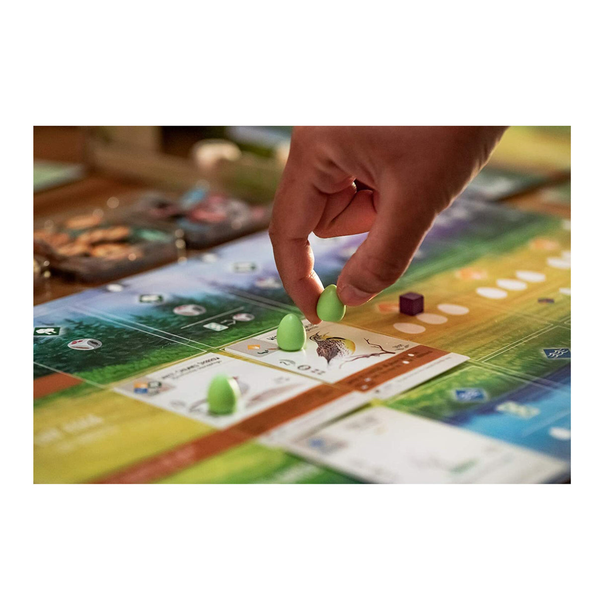 Wingspan Board Game A Bird-Collection Engine-Building Stonemaier Game