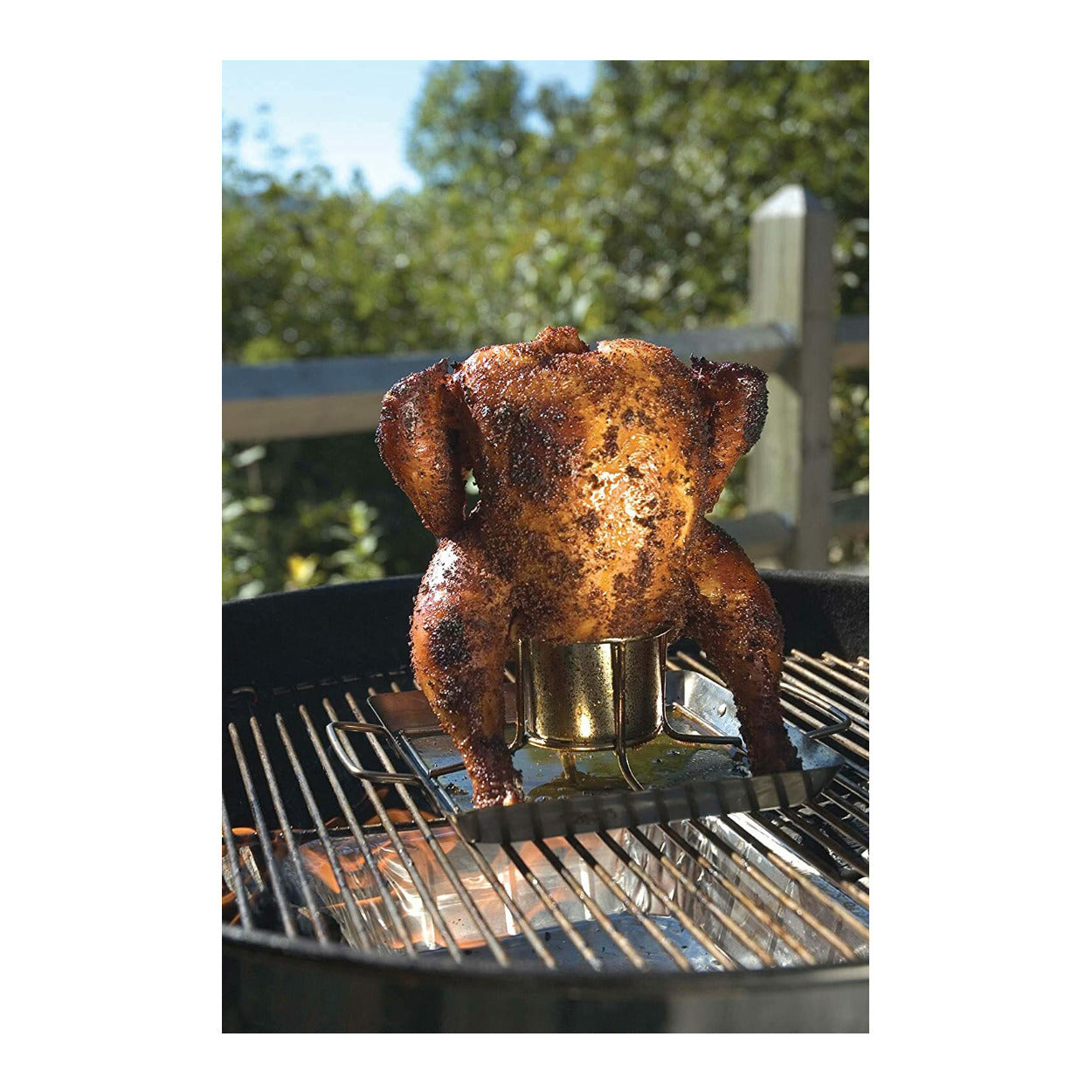 Steven Raichlen Best of Barbecue SR8016 Beer-Can Chicken Roaster Rack