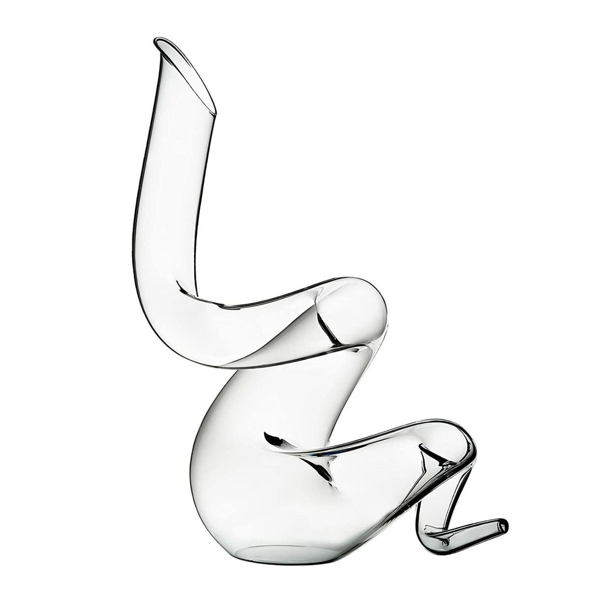 Riedel Boa Decanter with Wine Pourer with Stoppers (2-Pack) and Polishing Cloth