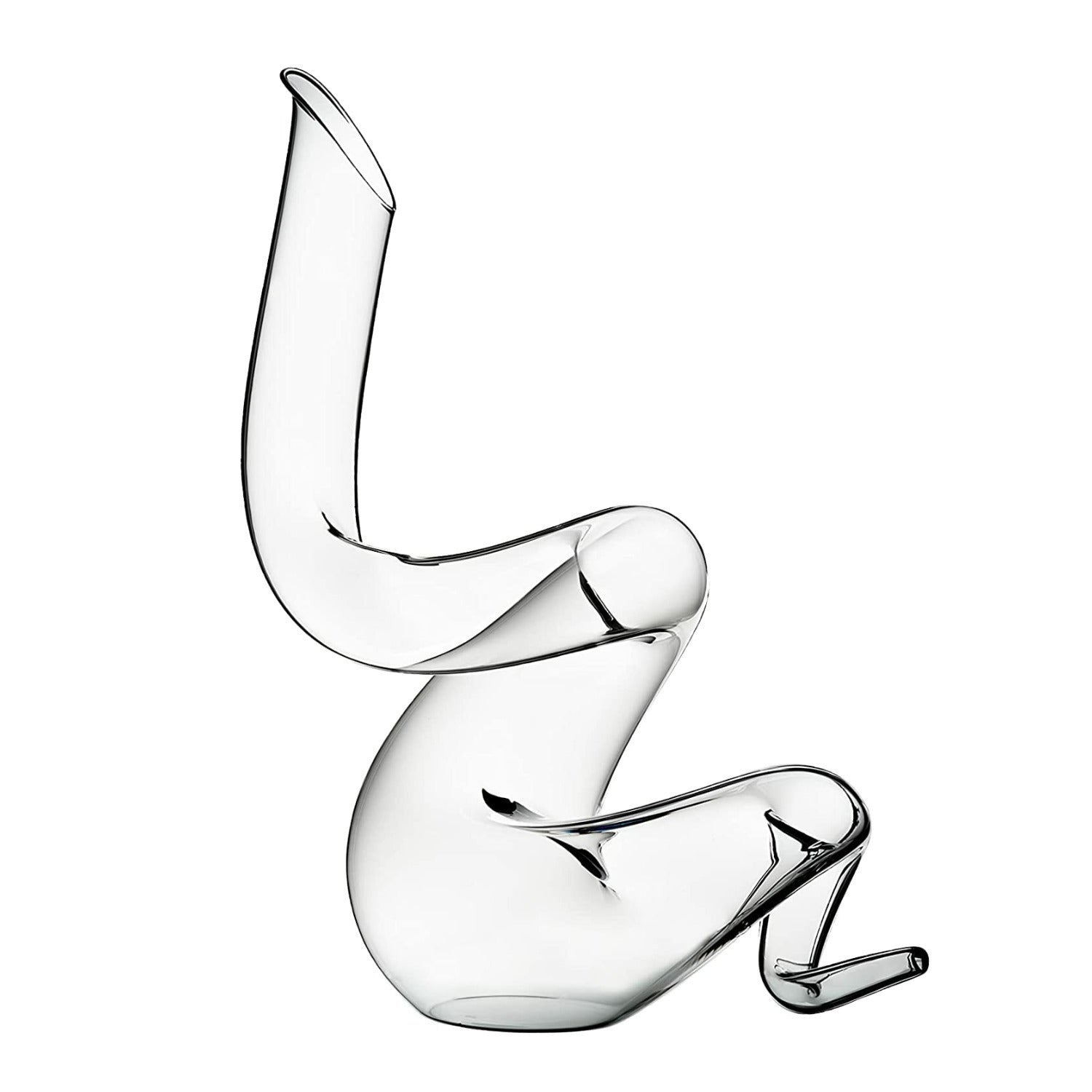 Riedel Boa Decanter with Wine Pourer with Stoppers (2-Pack) and Polishing Cloth