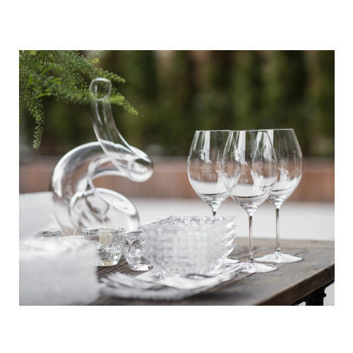 Riedel Boa Decanter with Wine Pourer with Stoppers (2-Pack) and Polishing Cloth