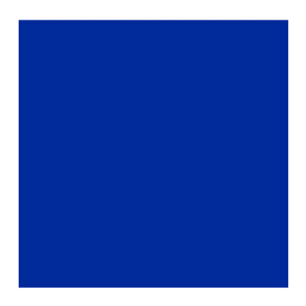 Cricut Joy 4.5 x 12 Inches Infusible Ink Transfer Sheets (True Blue)