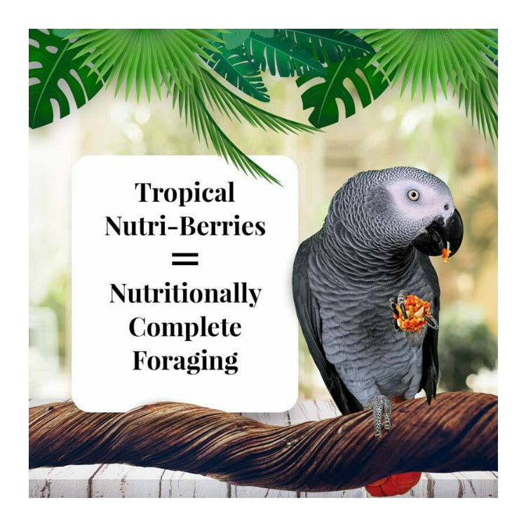 Lafeber Tropical Fruit Nutri-Berries Parrot Food Bags (10 oz, 2-Pack)