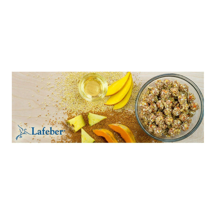 Lafeber Tropical Fruit Nutri-Berries Parrot Food Bags (10 oz, 2-Pack)