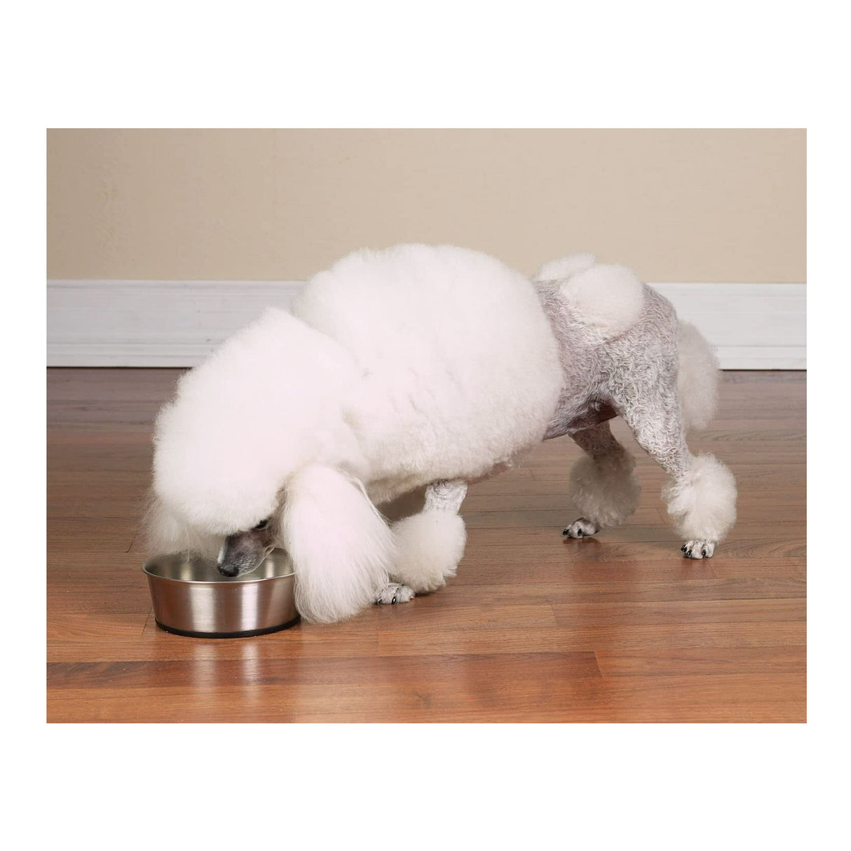 Pro Select Stainless Steel Rubber Base, Dishwasher Safe Dog Feeding 8-inch Bowl