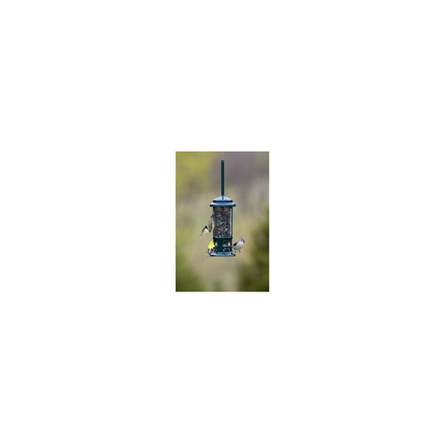 Brome Squirrel Buster Standard Squirrel-Proof Bird Feeder with 4 Metal Perches