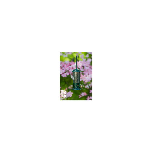 Brome Squirrel Buster Standard Squirrel-Proof Bird Feeder with 4 Metal Perches