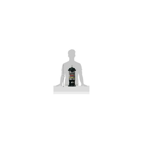 Brome Squirrel Buster Standard Squirrel-Proof Bird Feeder with 4 Metal Perches