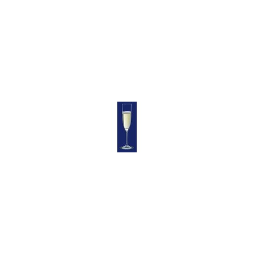 Riedel Vinum Champagne Glass (2-Pack)