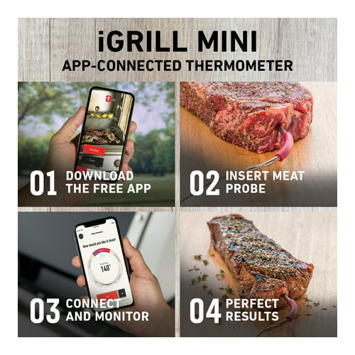 Weber iGrill Mini