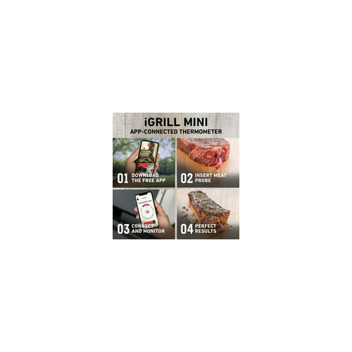 Weber iGrill Mini