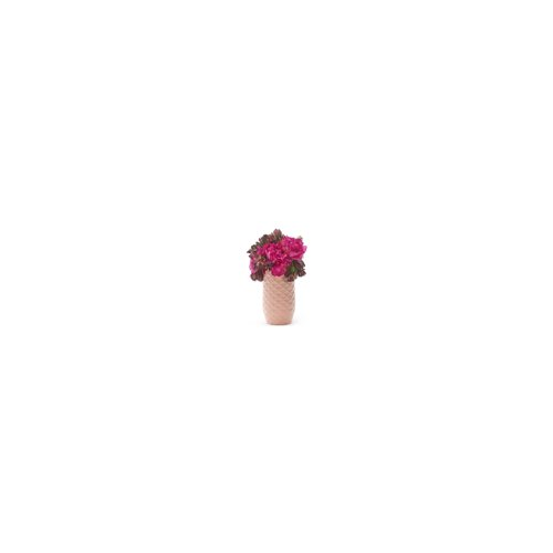 Amaranth 10-Inch Floral Care Shock Resistant Smarter Vase (Blush Pink)