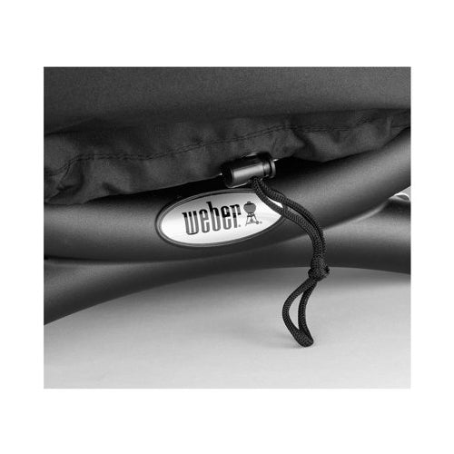 Weber Q1200 Liquid Propane Grill (Titanium) with Grill Cover