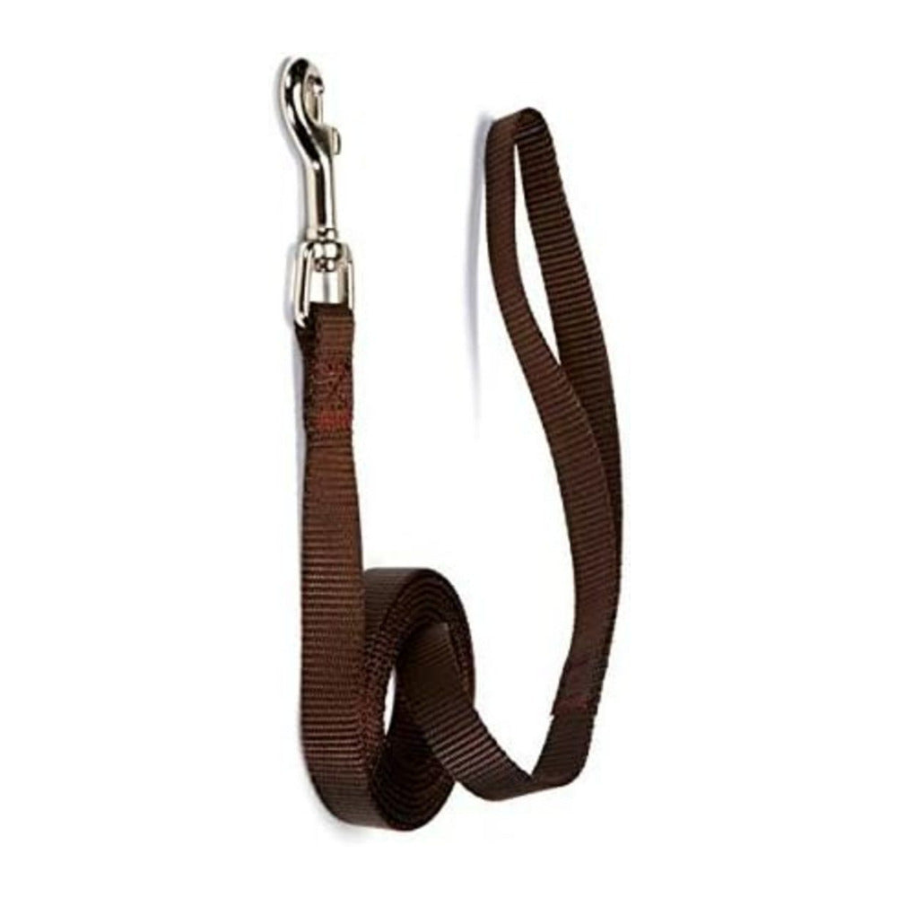 Zack & Zoey Basic 6-Feet x 1-Inch Nylon Dog Lead (Chocolate brown)