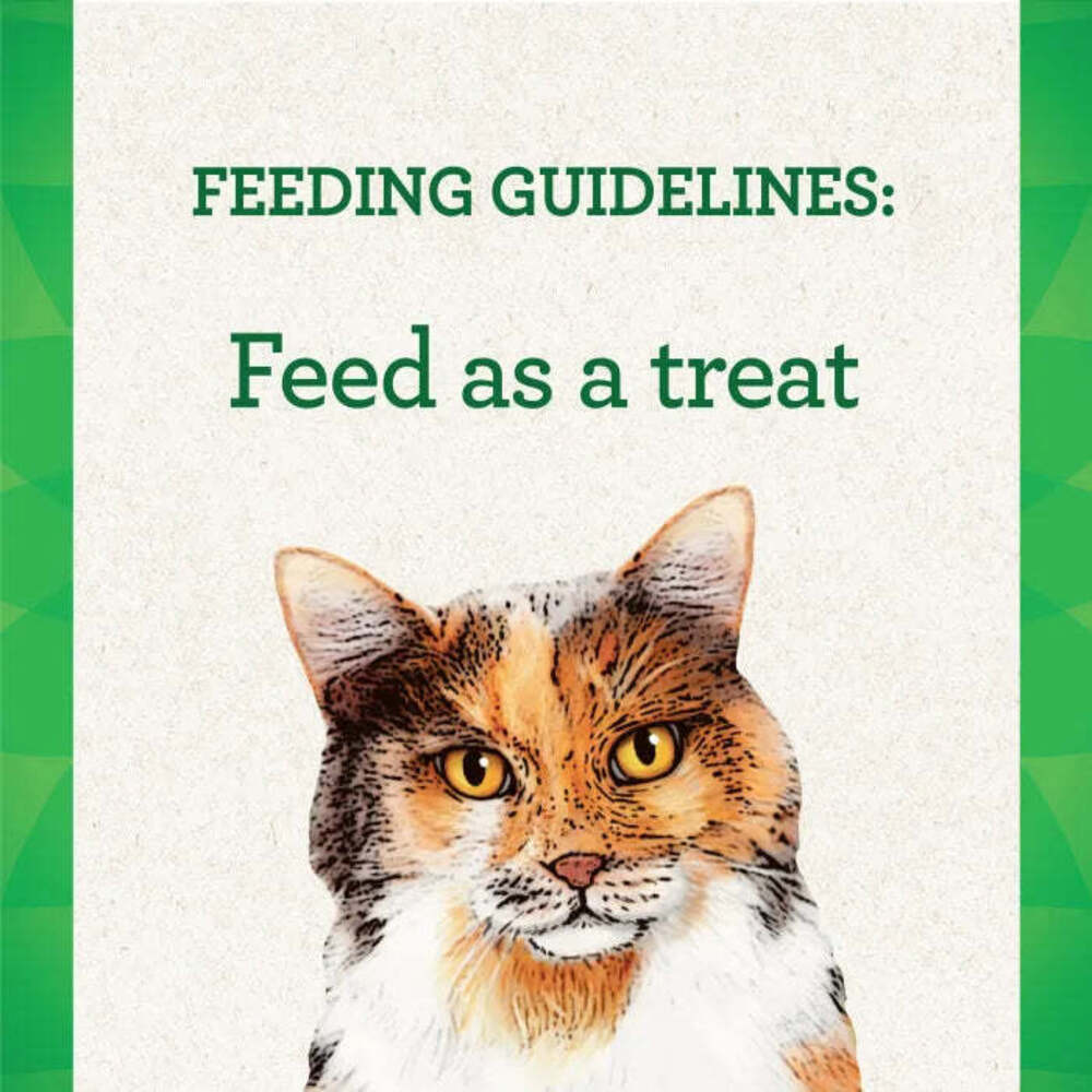 Greenies Pill Pockets Salmon Treats For Cat 45 oz. 1 pk