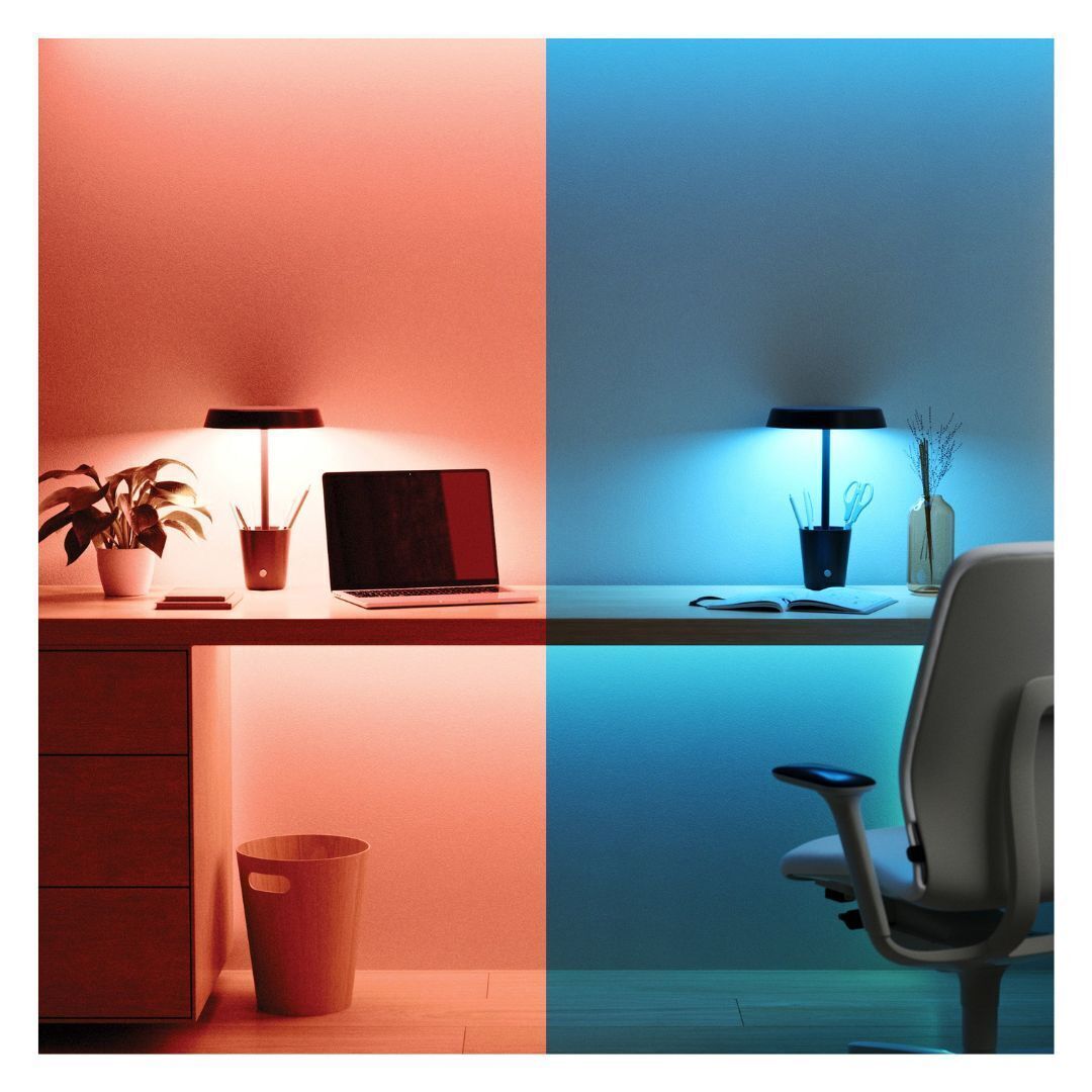 CUP LAMP BLACK