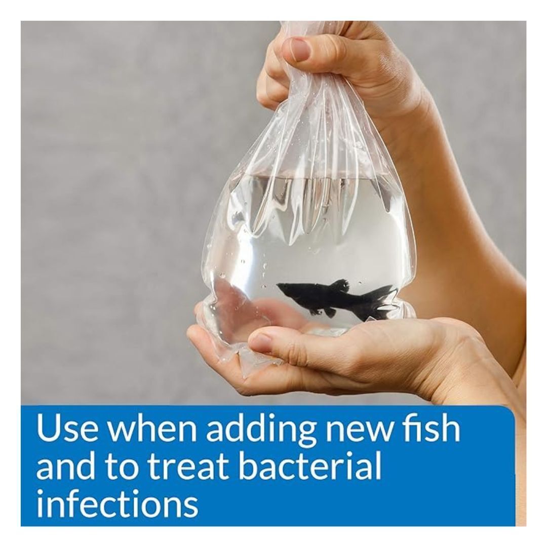 API MELAFIX Freshwater Fish Bacterial Infection Remedy 64-Ounce Bottle