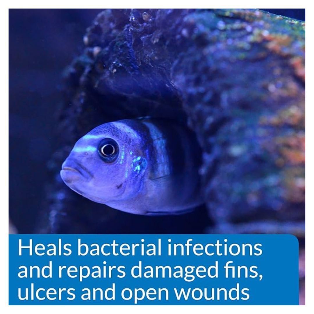 API MELAFIX Freshwater Fish Bacterial Infection Remedy 64-Ounce Bottle