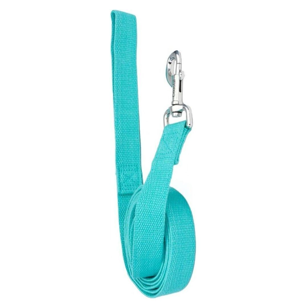 Coastal - New Earth Soy - Dog Leash, Mint, 1 Inches x 06 Inches