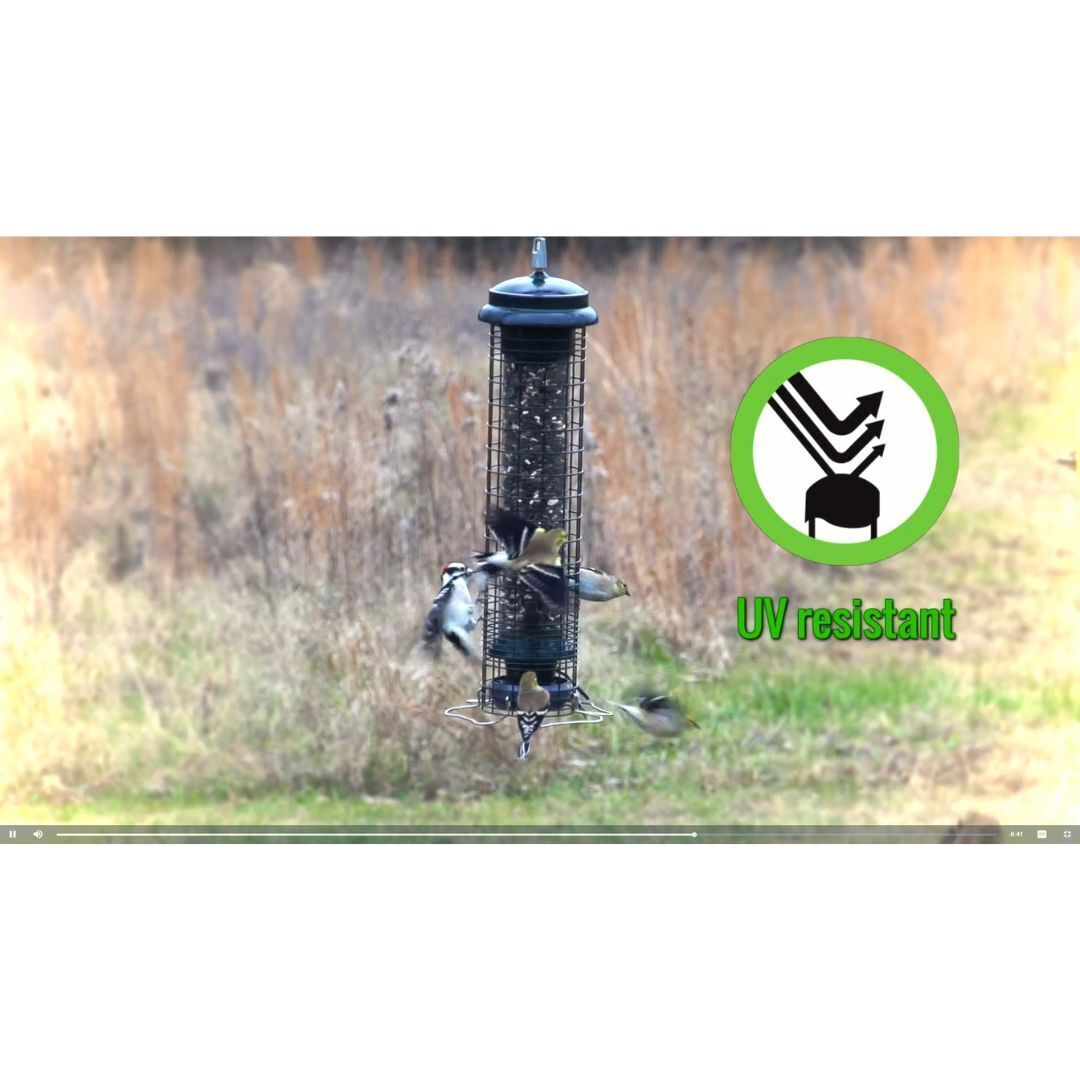 Brome Squirrel Solution 150 Squirrel-Proof Bird Feeder, 2.6-Pound Seed Capacity