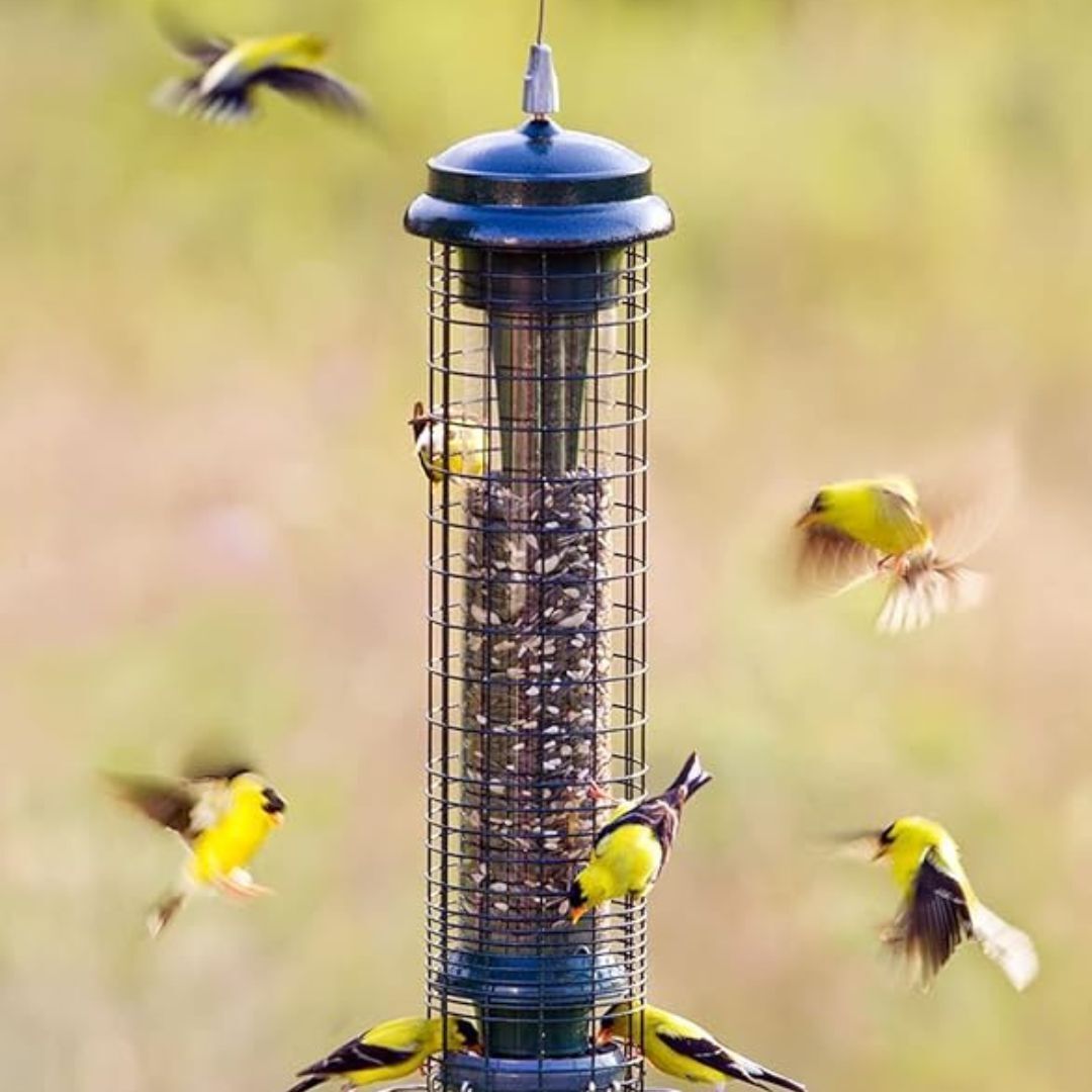 Brome Squirrel Solution 150 Squirrel-Proof Bird Feeder, 2.6-Pound Seed Capacity