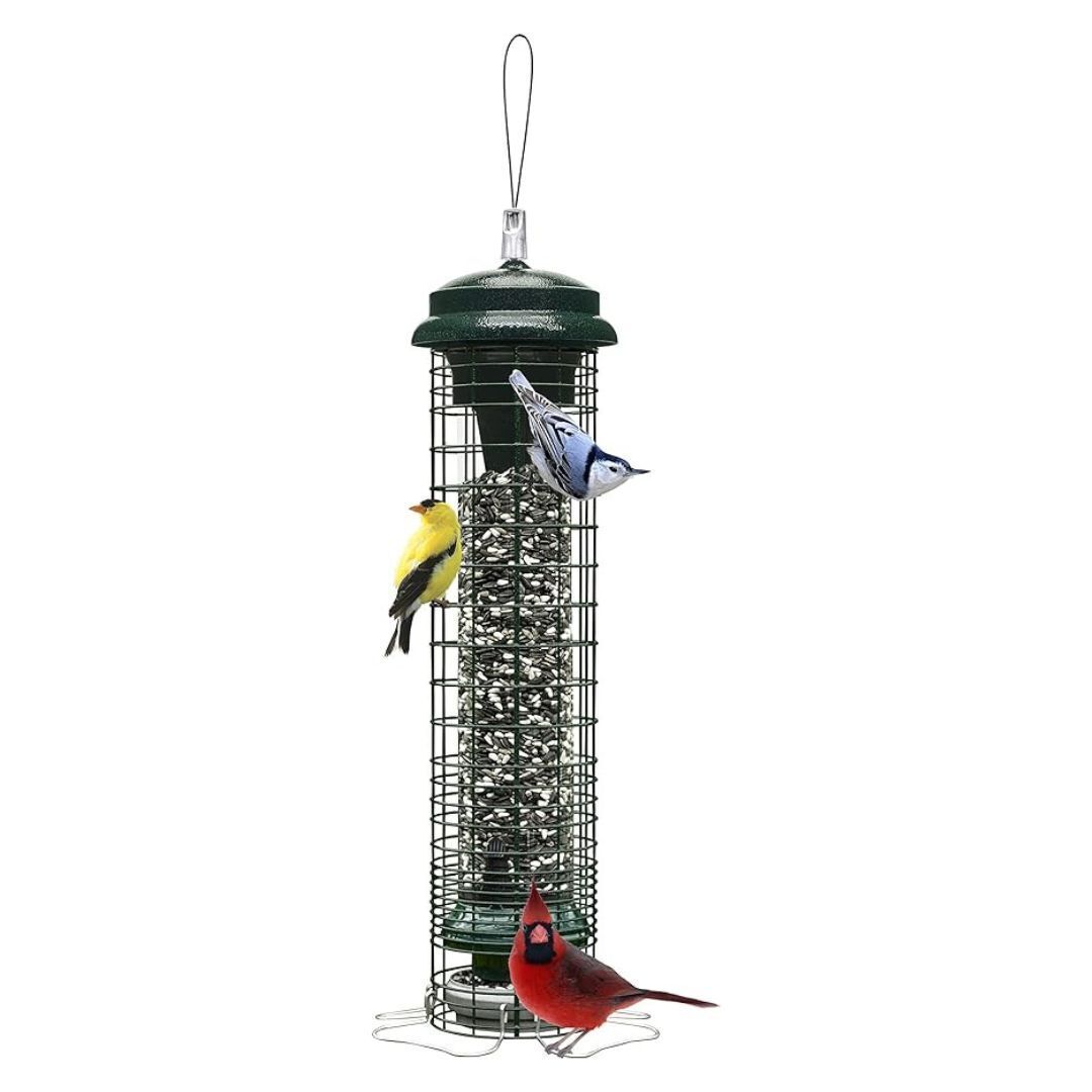Brome Squirrel Solution 150 Squirrel-Proof Bird Feeder, 2.6-Pound Seed Capacity