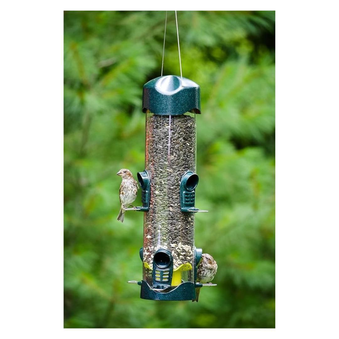 Brome Mega 600 Metal Tube Feeder w/6 Seed Ports, 4 lbs seed capacity