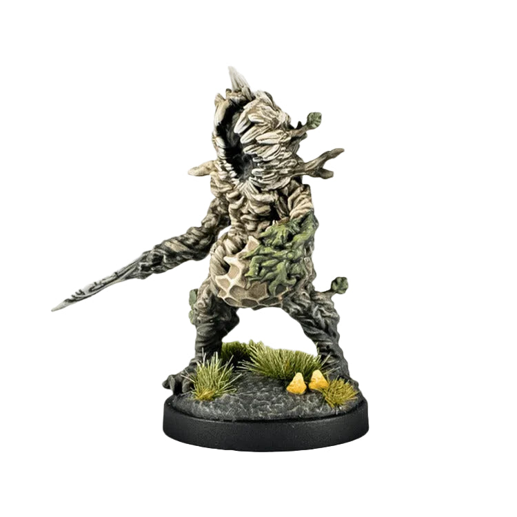 Epic Encounters: Forest of the Damned D&D 5e Adventure Box