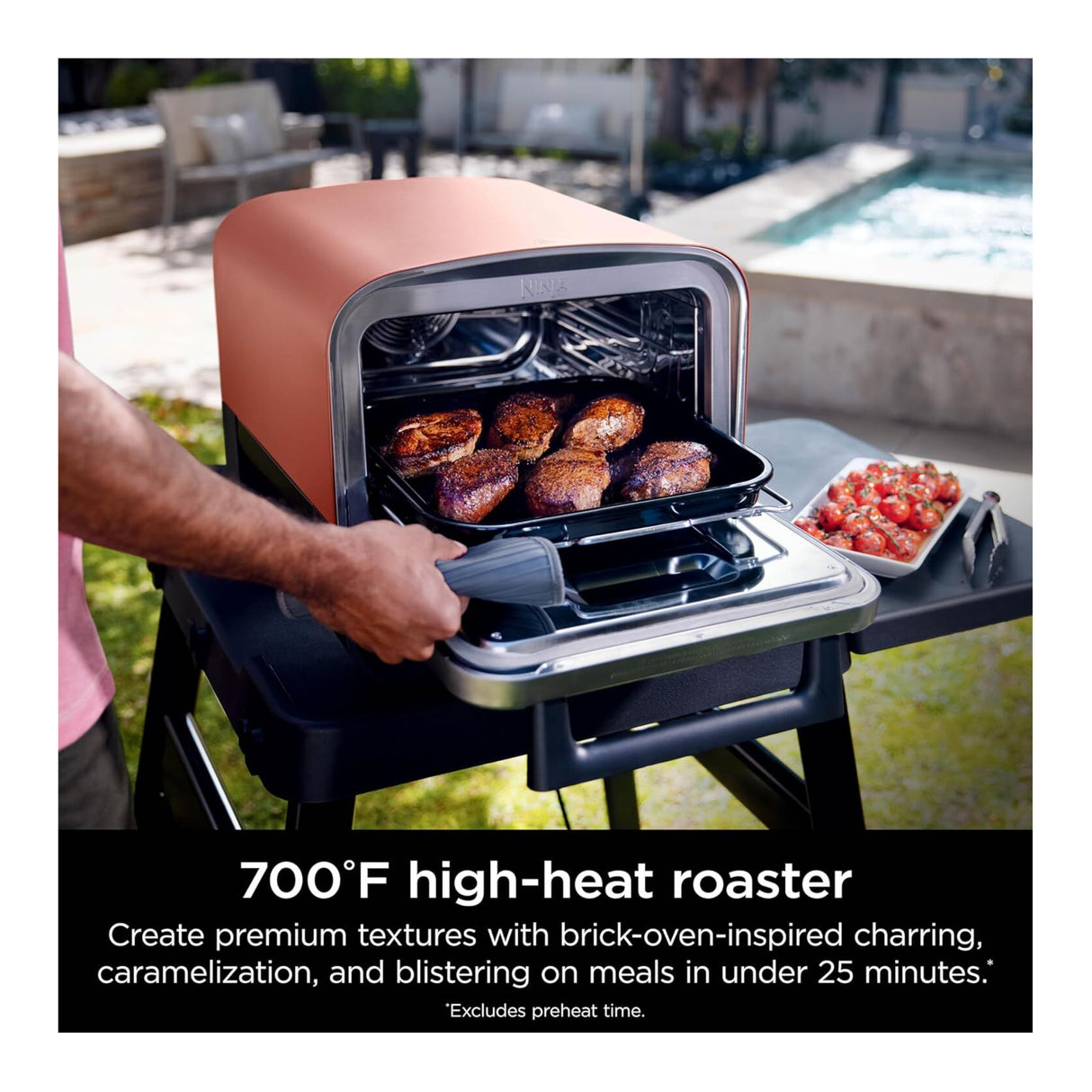 Ninja Woodfire 8-in-1 Portable Electric Outdoor Roaster Oven (Terracotta Red)
