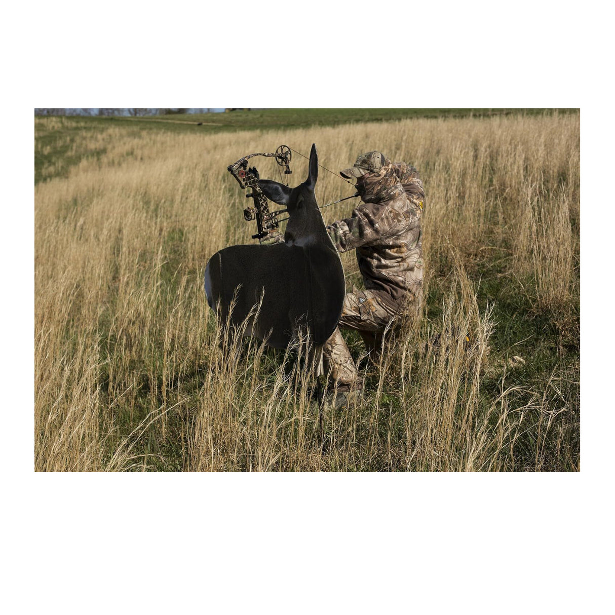 Miss Muley by Montana Decoy