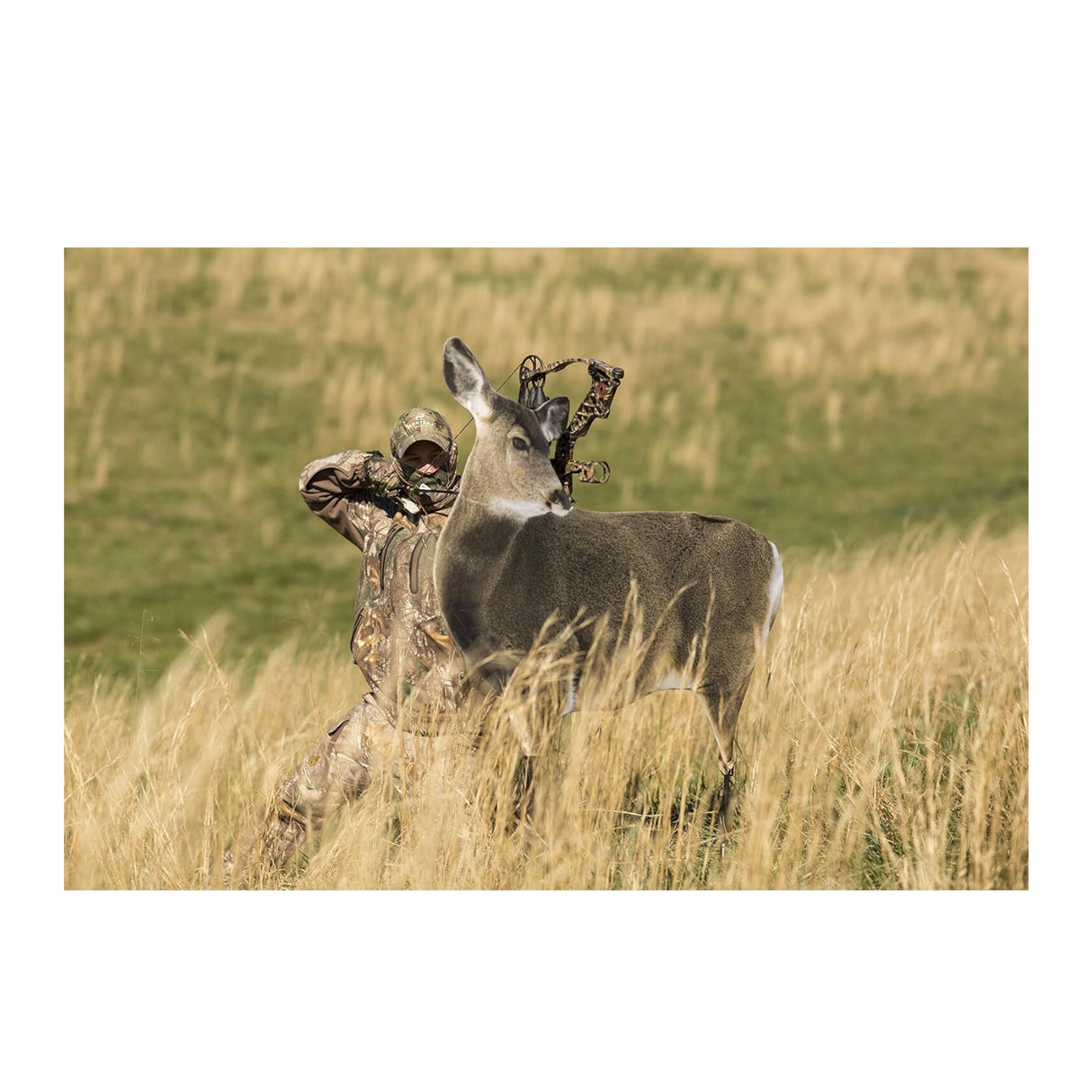 Miss Muley by Montana Decoy
