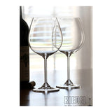 Riedel 644807 Wine Series Pinot Noir Glass (Set of 2) with Polishing Cloth