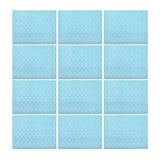 Saleen Rectangular Placemat (Pastel Blue, Set of12)