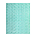 Saleen Rectangular Placemat (Pastel Green)