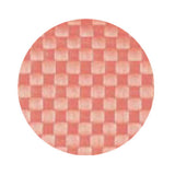 Saleen Rectangular Placemat (Retro Rose, Set of 12)