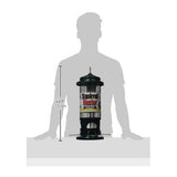 Brome Squirrel Buster Standard Squirrel-Proof Bird Feeder with 4 Metal Perches