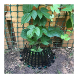 Plant Knight Tree Trunk Guard Protector (6-Pack, Green)