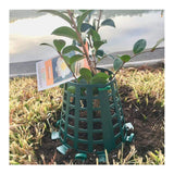 Plant Knight Tree Trunk Guard Protector (6-Pack, Green)