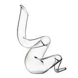 Riedel Boa Decanter with Wine Pourer with Stoppers (2-Pack) and Polishing Cloth