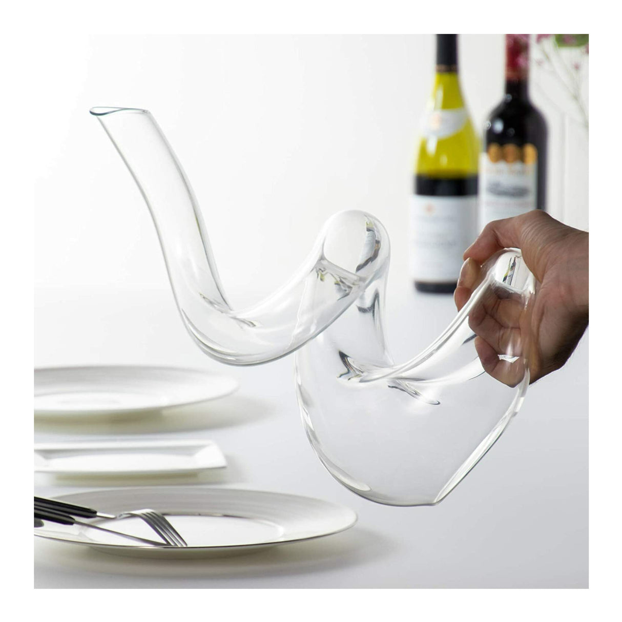 Riedel Boa Decanter with Wine Pourer with Stoppers (2-Pack) and Polishing Cloth