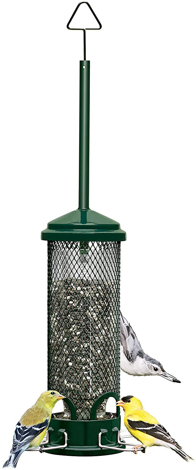 Brome Squirrel Buster Mini Squirrel-Proof Bird Feeder with Metal Perches