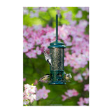 Brome Squirrel Buster Mini Squirrel-Proof Bird Feeder with Metal Perches