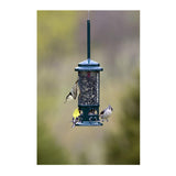 Brome Squirrel Buster Mini Squirrel-Proof Bird Feeder with Metal Perches