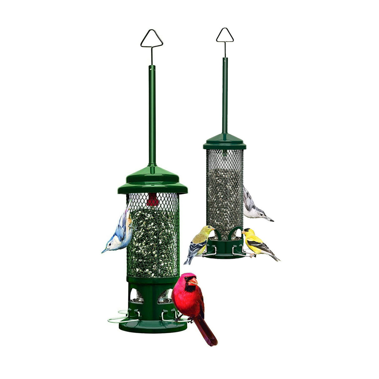 Brome Squirrel Buster Mini Squirrel-Proof Bird Feeder with Metal Perches