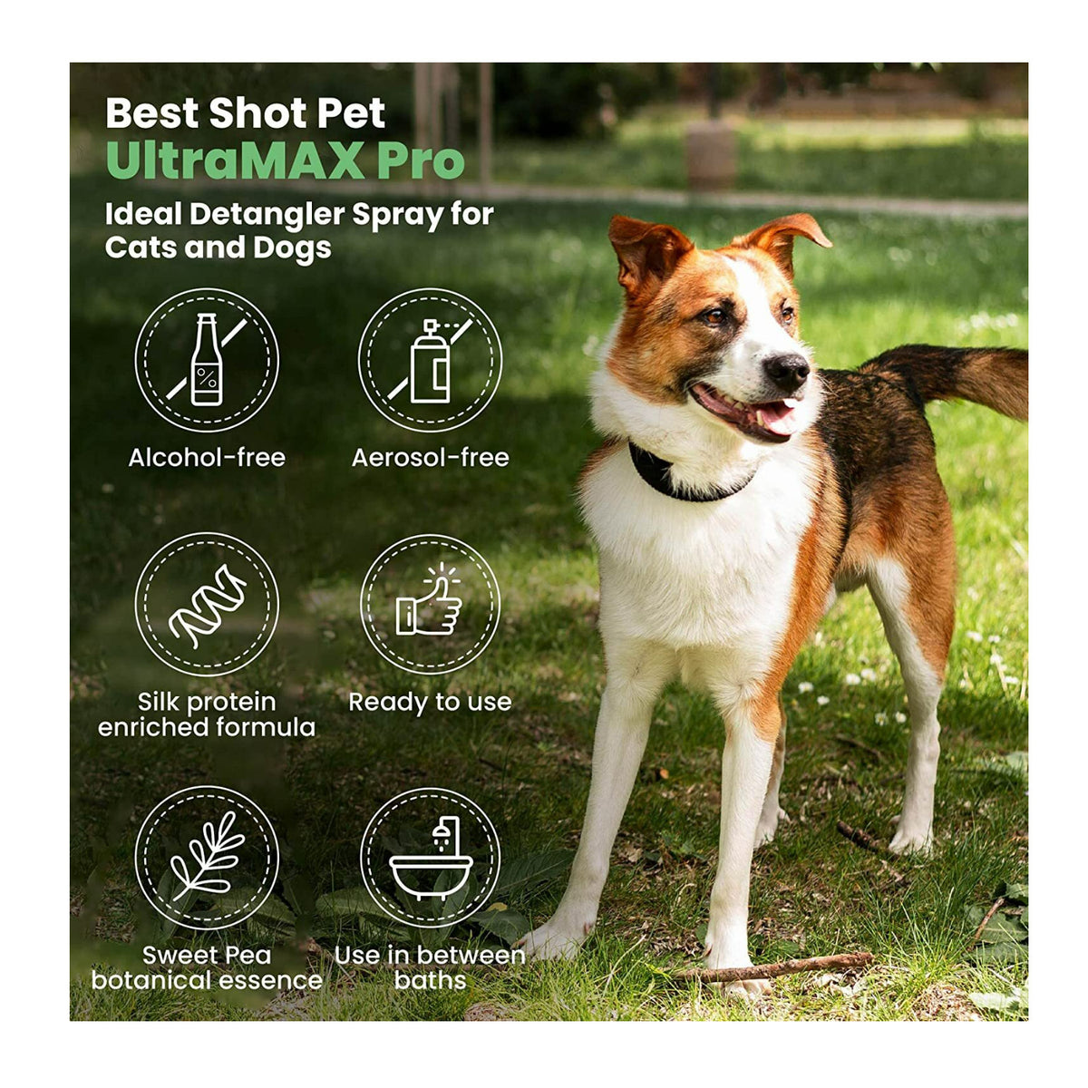 Best Shot UltraMAX Pro Ready to Use Alcohol-Free 17 Oz Finishing Spray