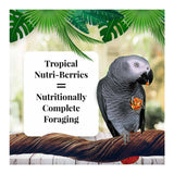 Lafeber Tropical Fruit Nutri-Berries Parrot Food Bags (10 oz, 2-Pack)