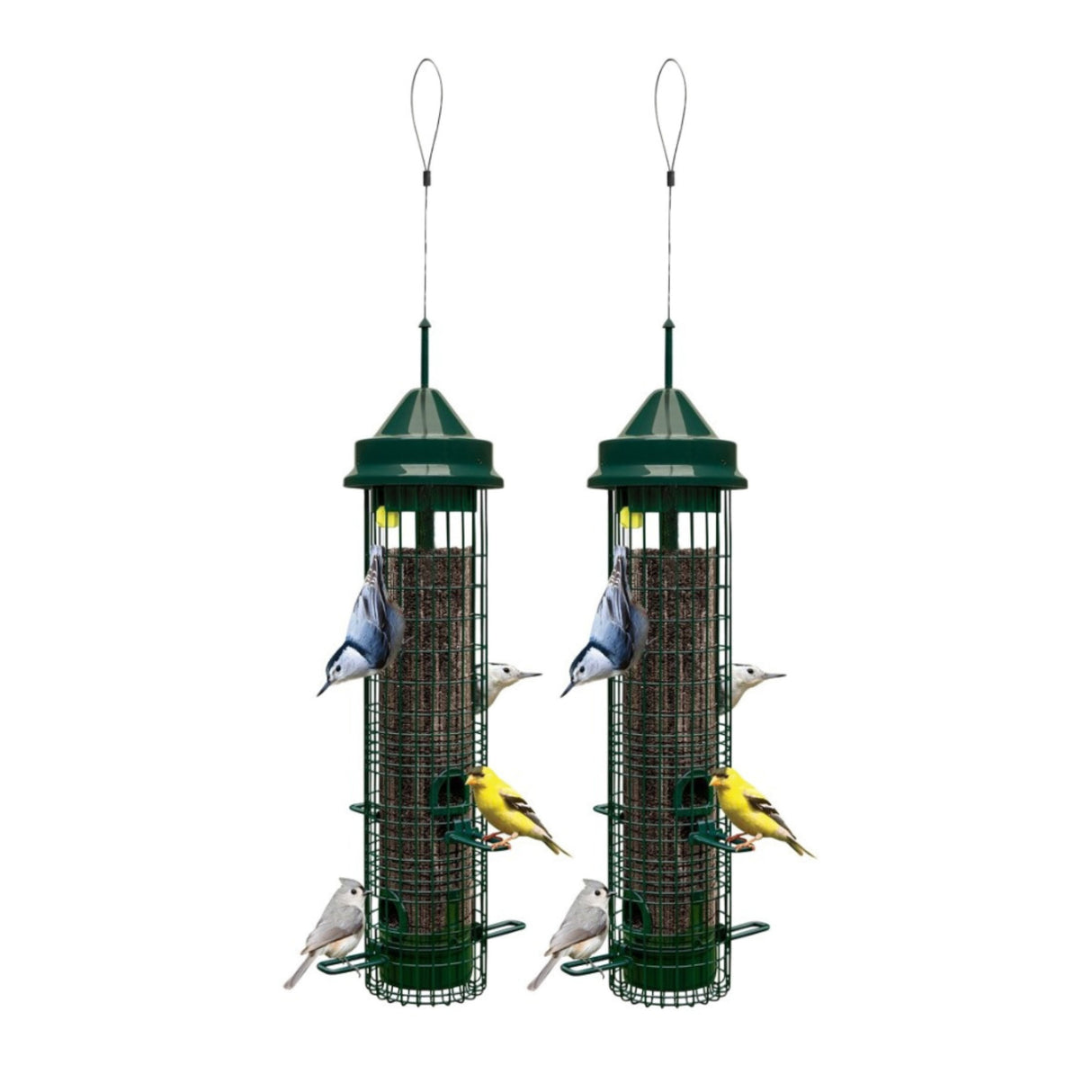 Brome Squirrel Buster Classic Squirrel-Proof Bird Feeder (2-Pack)
